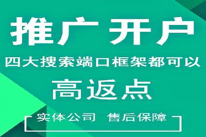 SEM服务托管：提升广告效果的成功案例解析